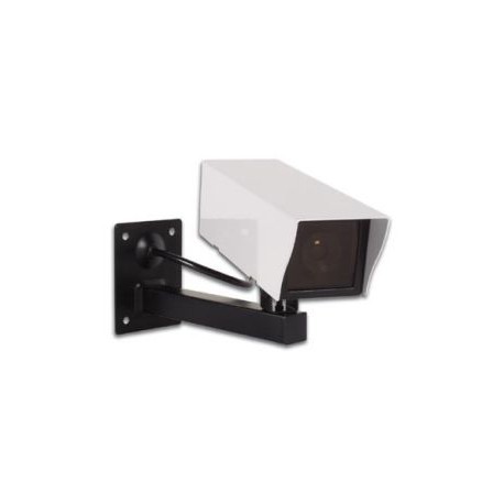 FR223 Falsa telecamera in metallo alimentazione led - immagine 1