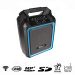 Speaker portatile attivo wireless MP3-USB-KARAOKE
